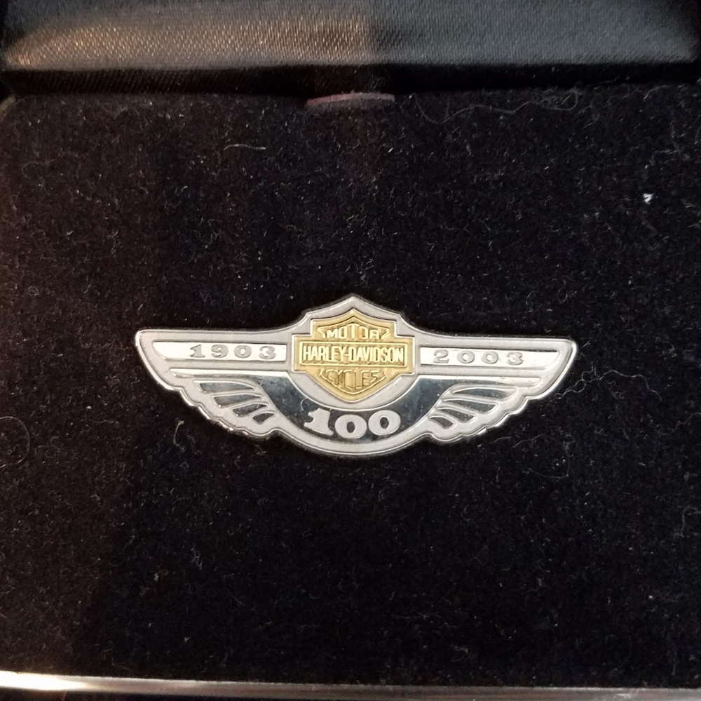 100th anniversary pin
